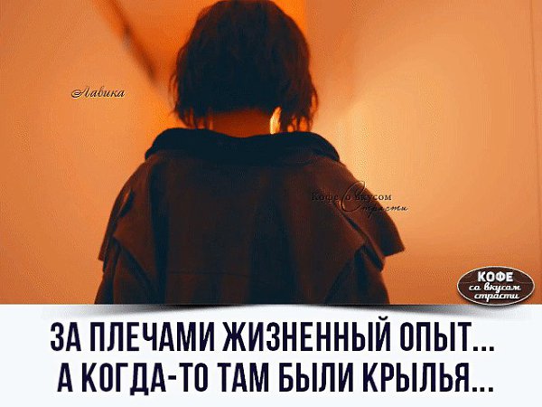 За плечами жизненный опыт а когда то там были крылья картинки