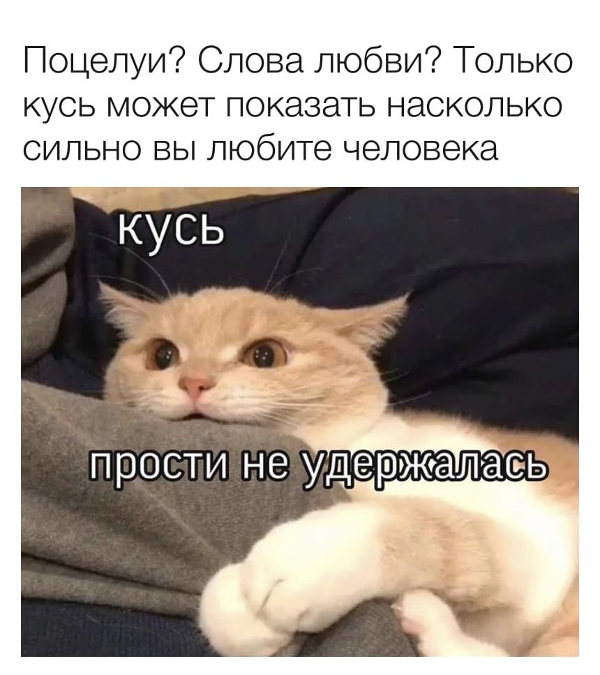 Кусь по любви картинка