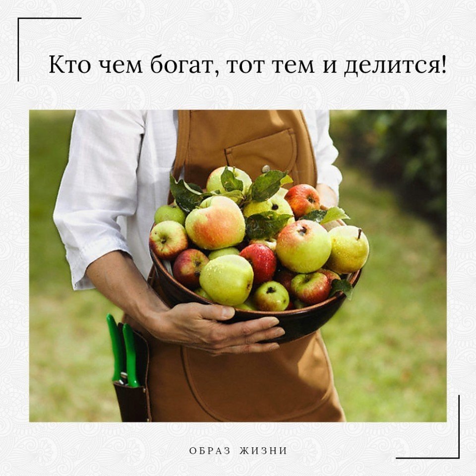 Что то на богатом. Кто чем богат тот тем и делится. Кто чем богат тот тем и делится картинки. Чем человек богат тем и делится. Притча про яблоки.