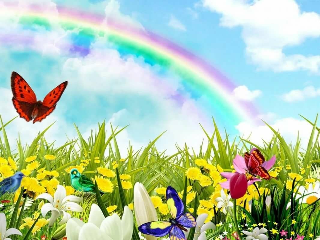 Краски лета звуки. Поляна с цветами и бабочками. Разноцветное лето. Красочное лето. Разноцветное лето с изображением.