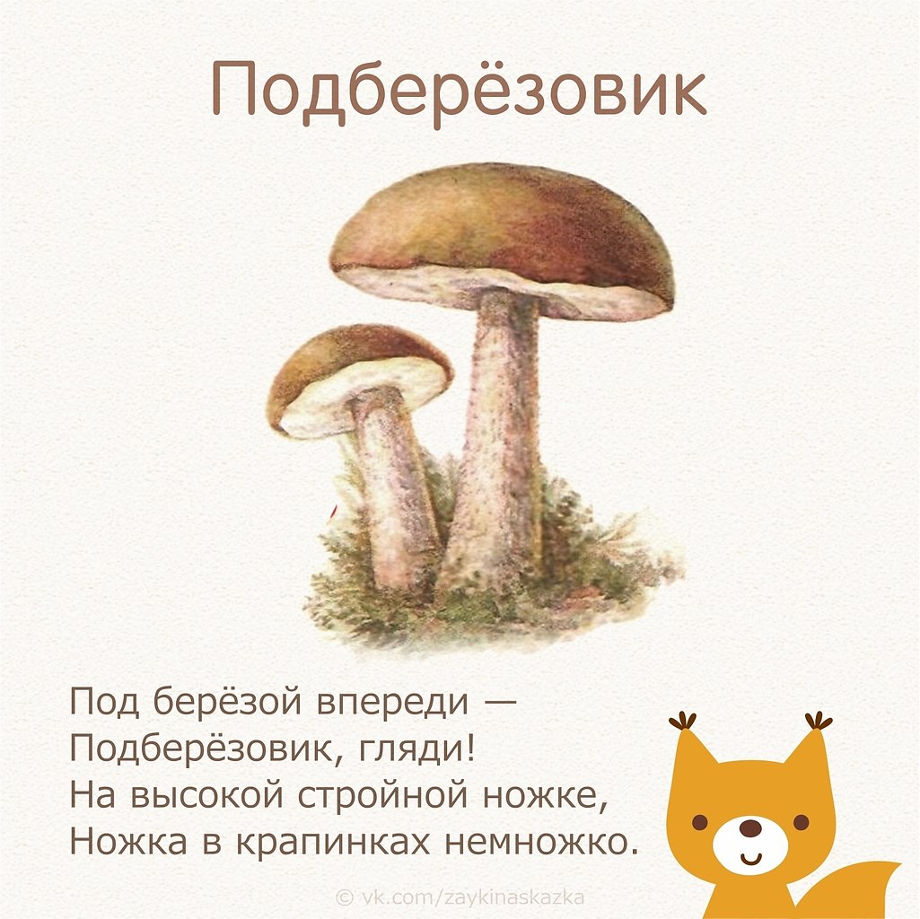 Стихи про грибы для детей дошкольного возраста