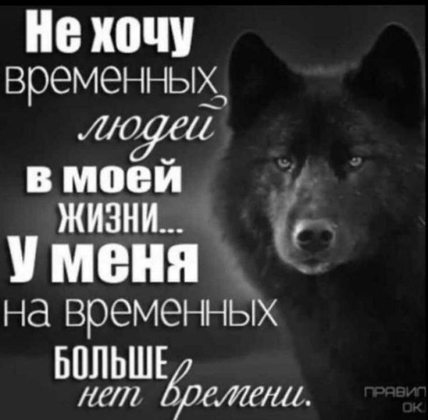 Хочу огромный. Не хочу больше временных людей в моей жизни. Я больше не хочу временных людей в своей жизни. Не хочу больше временных людей в своей жизни. Нет времени на временных.