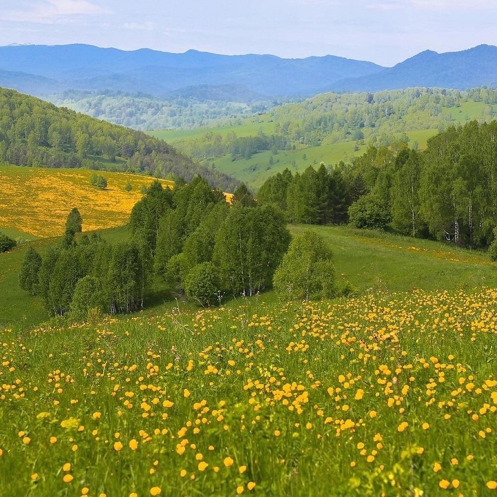 Алтайский край фотографии