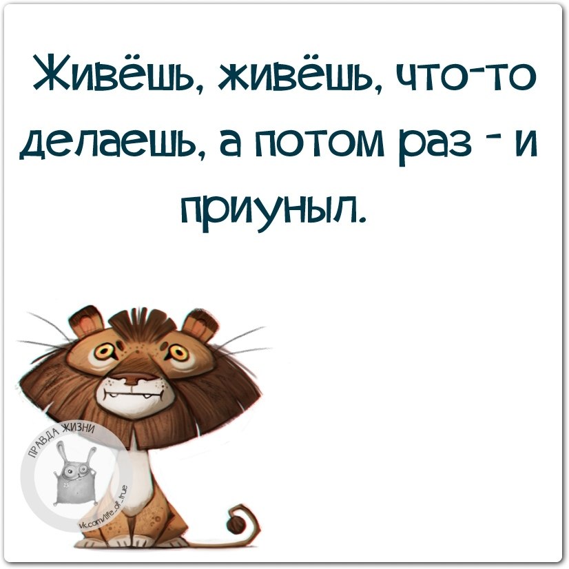 Правда жизни картинки с надписями прикольные смешные