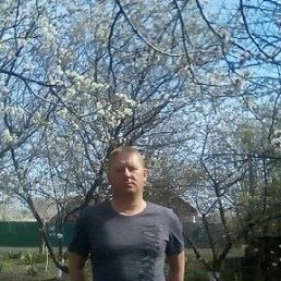 Владимир, 36 лет, Ровеньки