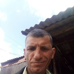 , 47 , 