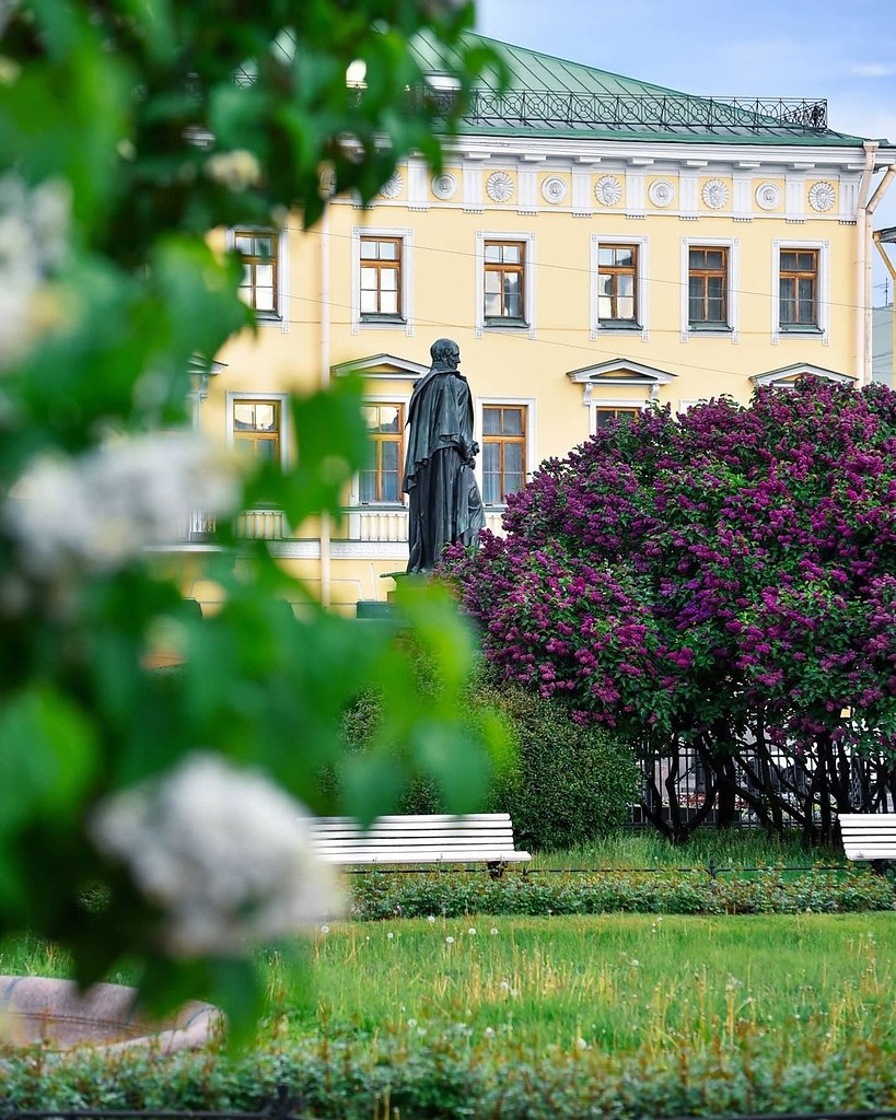 санкт петербург сирень