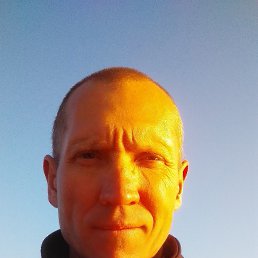 , 50 , 