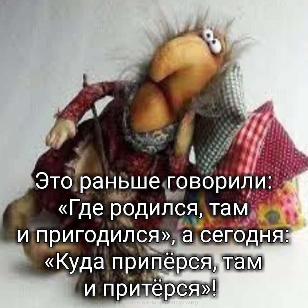 Откуда родился там и пригодился картинка