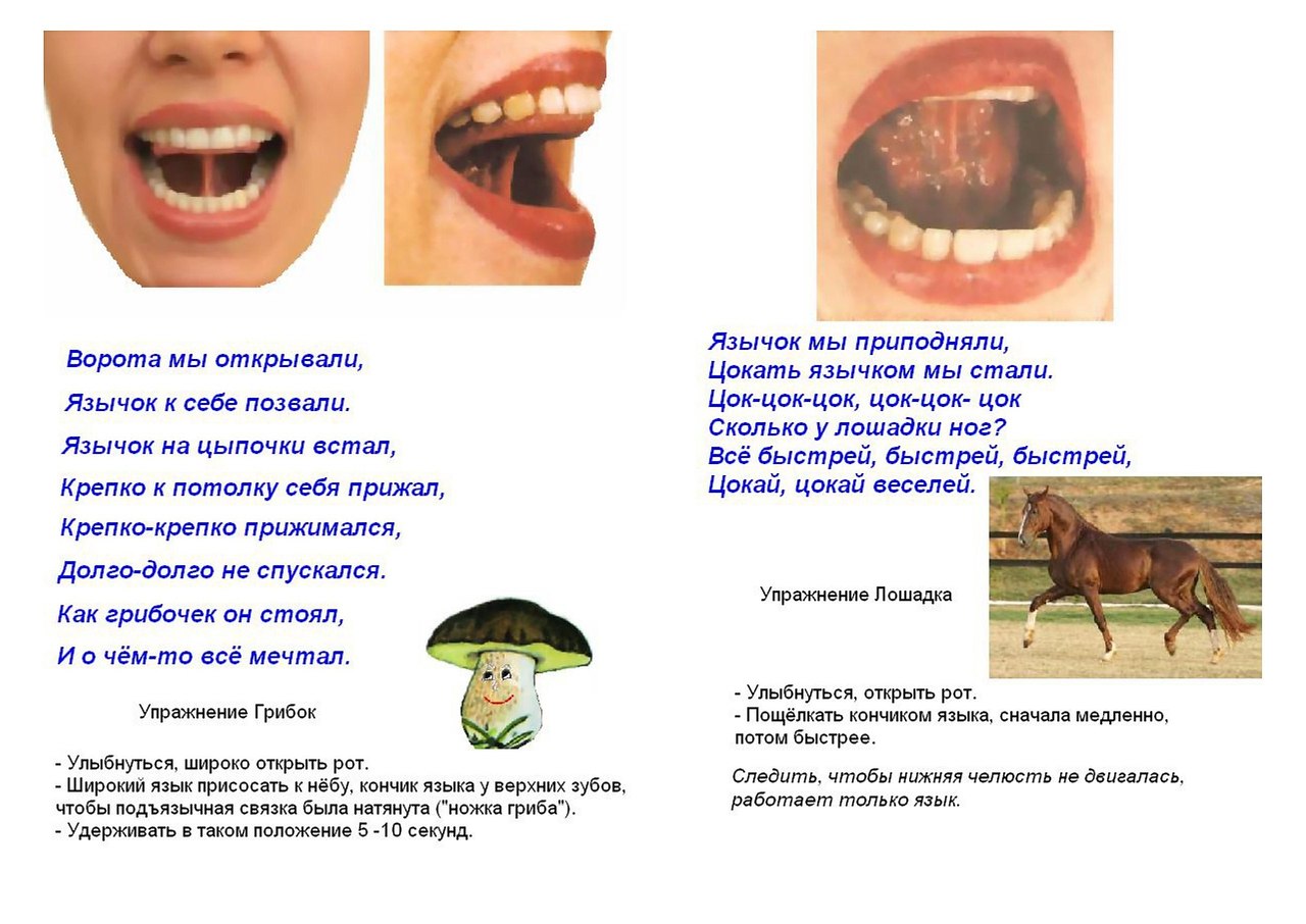 Артикуляционная гимнастика грибок в картинках