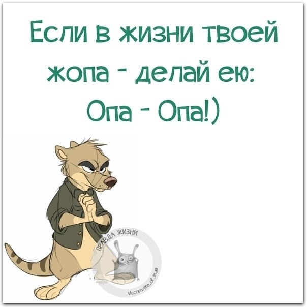 Очко жизни. Если в жизни делай опа. Делай опа опа. Если в жизни твоей ж#па делай опа. Делай попой опа опа.