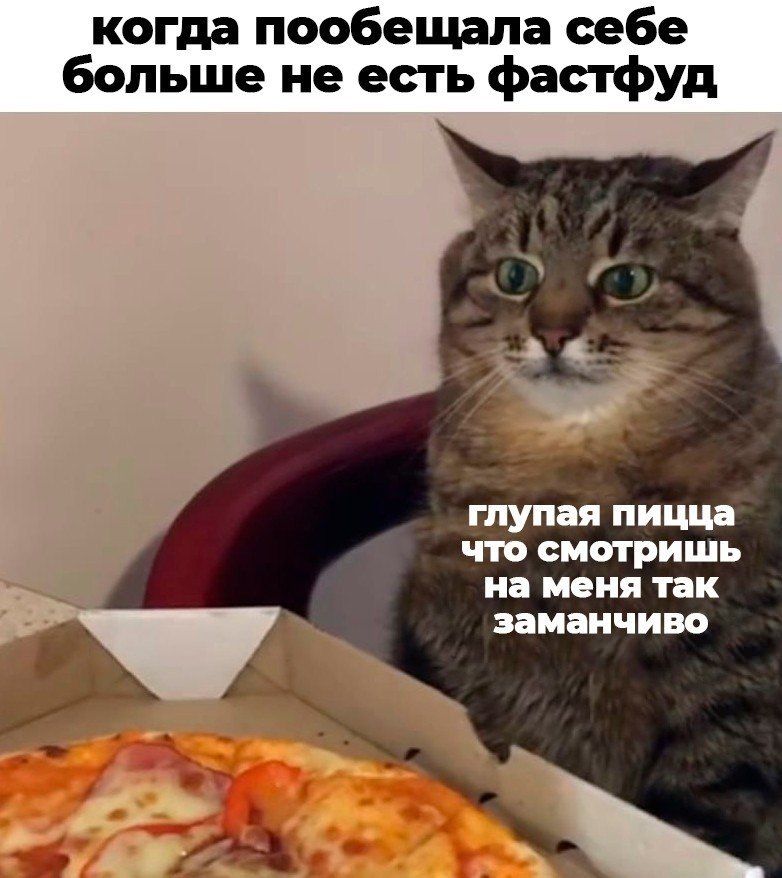 Я люблю котиков и пиццу