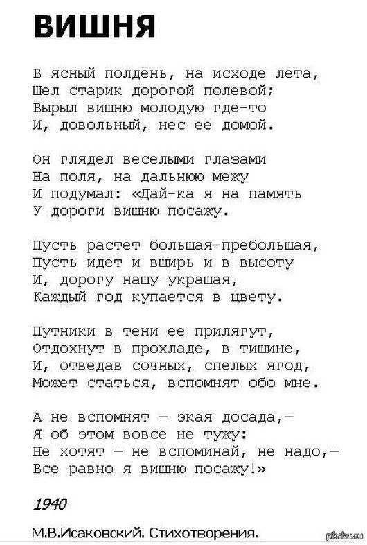 Стихотворение вишня. Стих Пушкина вишня. Вишня стихотворение Исаковского. Стихотворение Пушкина вишня полный текст.