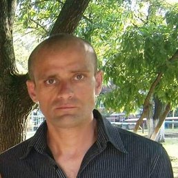 , 43 , 