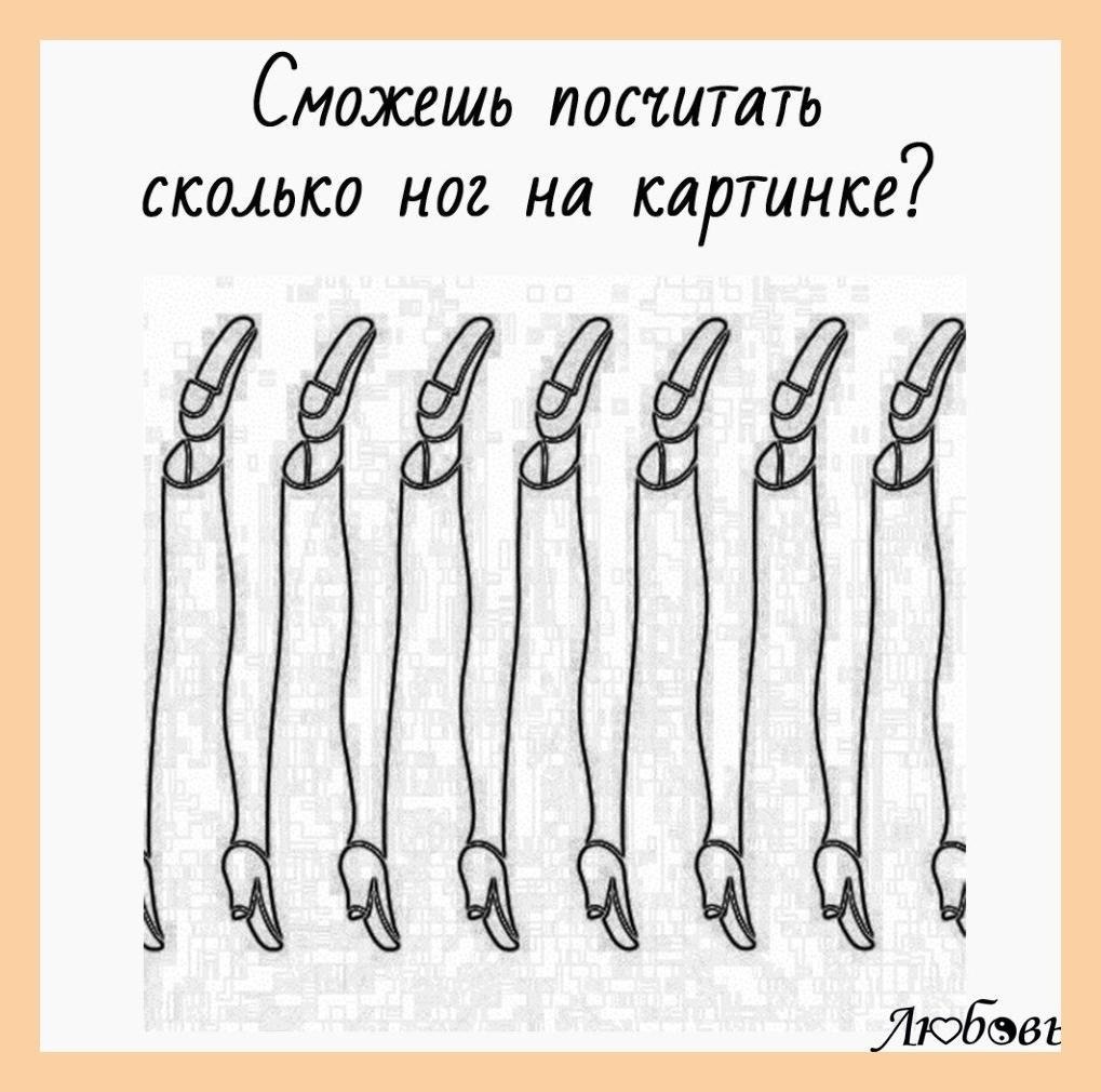 Сколько ног есть. Сколько ног. Сколько ног на картинке правильный ответ. Сколько ног в комнате загадка.