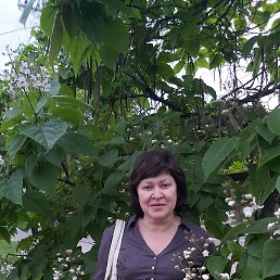 , 55 , 