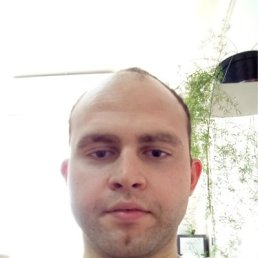 , 31 , 