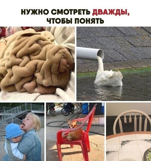 Интересные дела