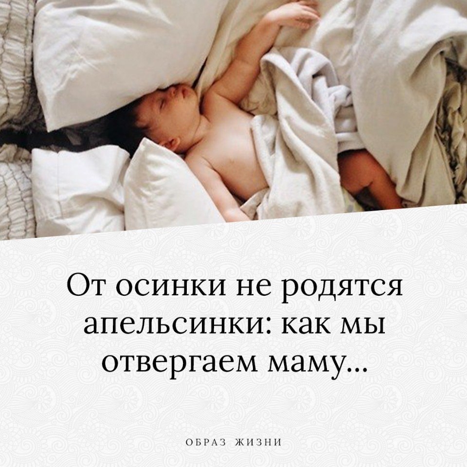 Не родятся апельсинки. Пословица от Осинки не родятся апельсинки. Пословица от не родятся апельсинки. От не родятся апельсинки поговорка. От Осинки родятся.