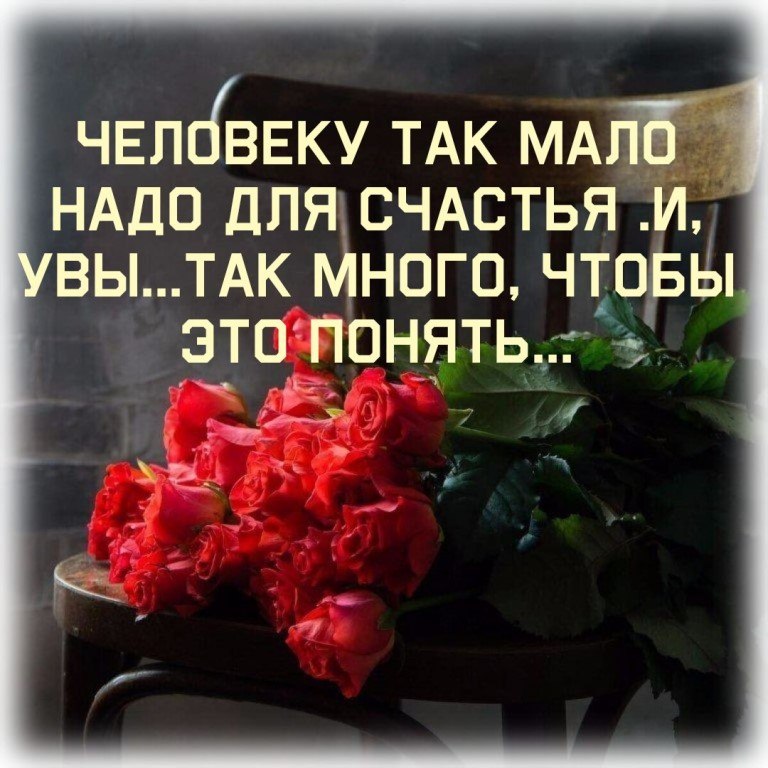 Человеку так мало надо для счастья но увы так много чтобы это понять картинки