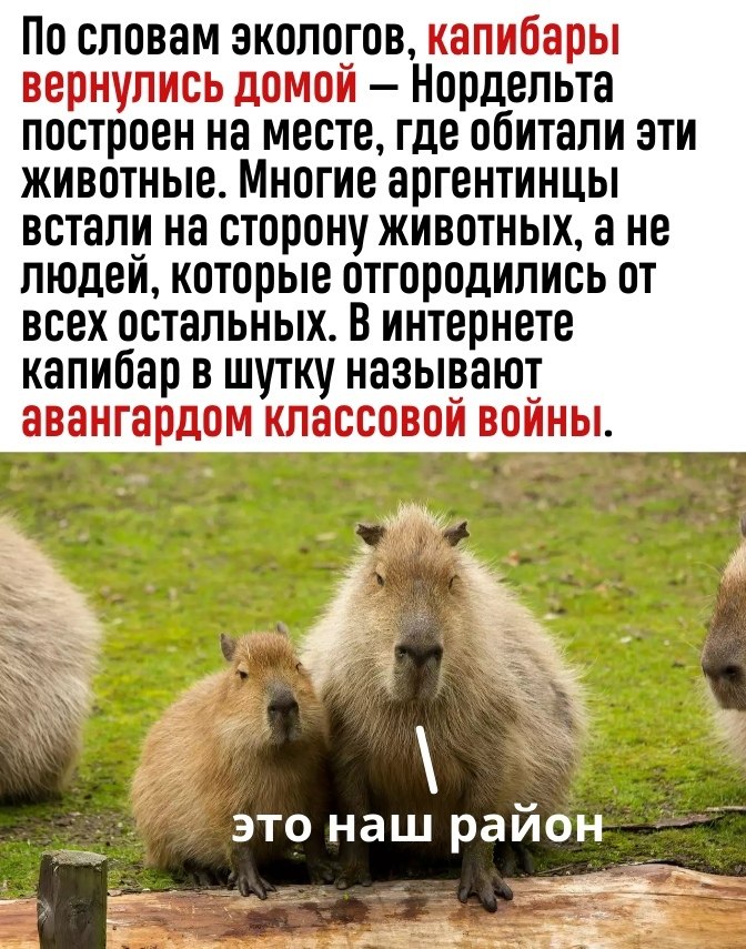 Капибара где обитает карта