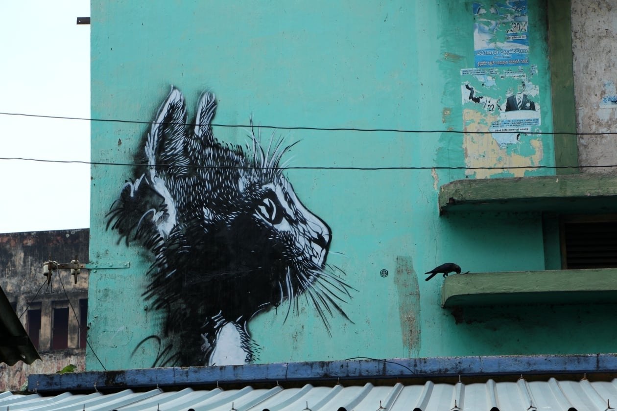 Граффити животные на стене
