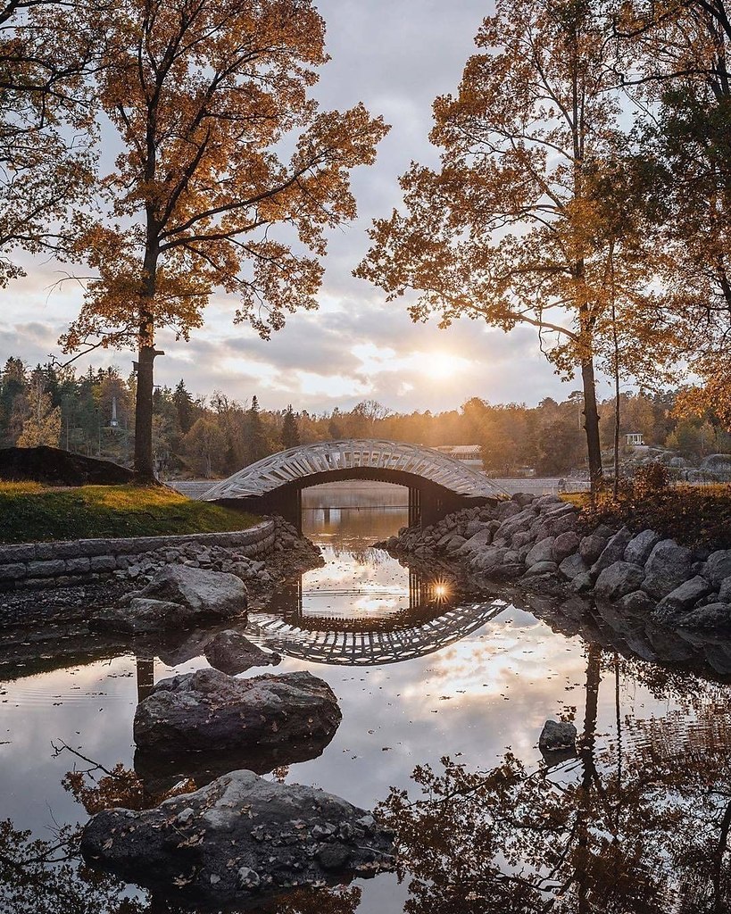 Парк монрепо в санкт петербурге фото