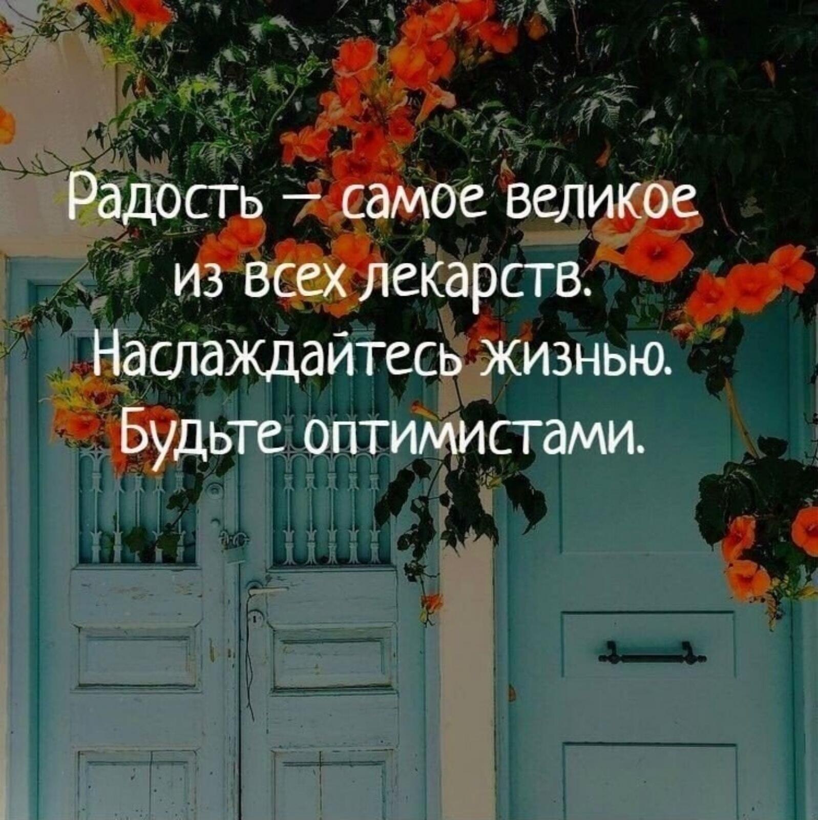 Планы на сегодня радоваться жизни
