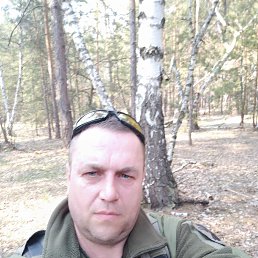 , 46 , 