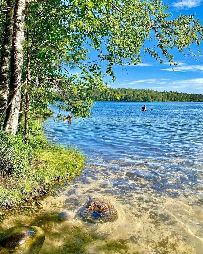 Тарасовское озеро Ленинградская область