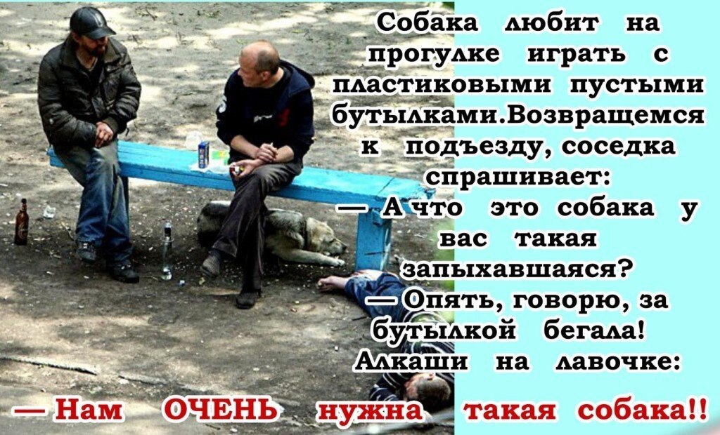2940277204.jpg