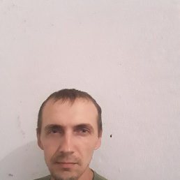 , 41,  