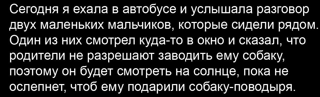 Великолепный план викки надежный блин как швейцарские часы