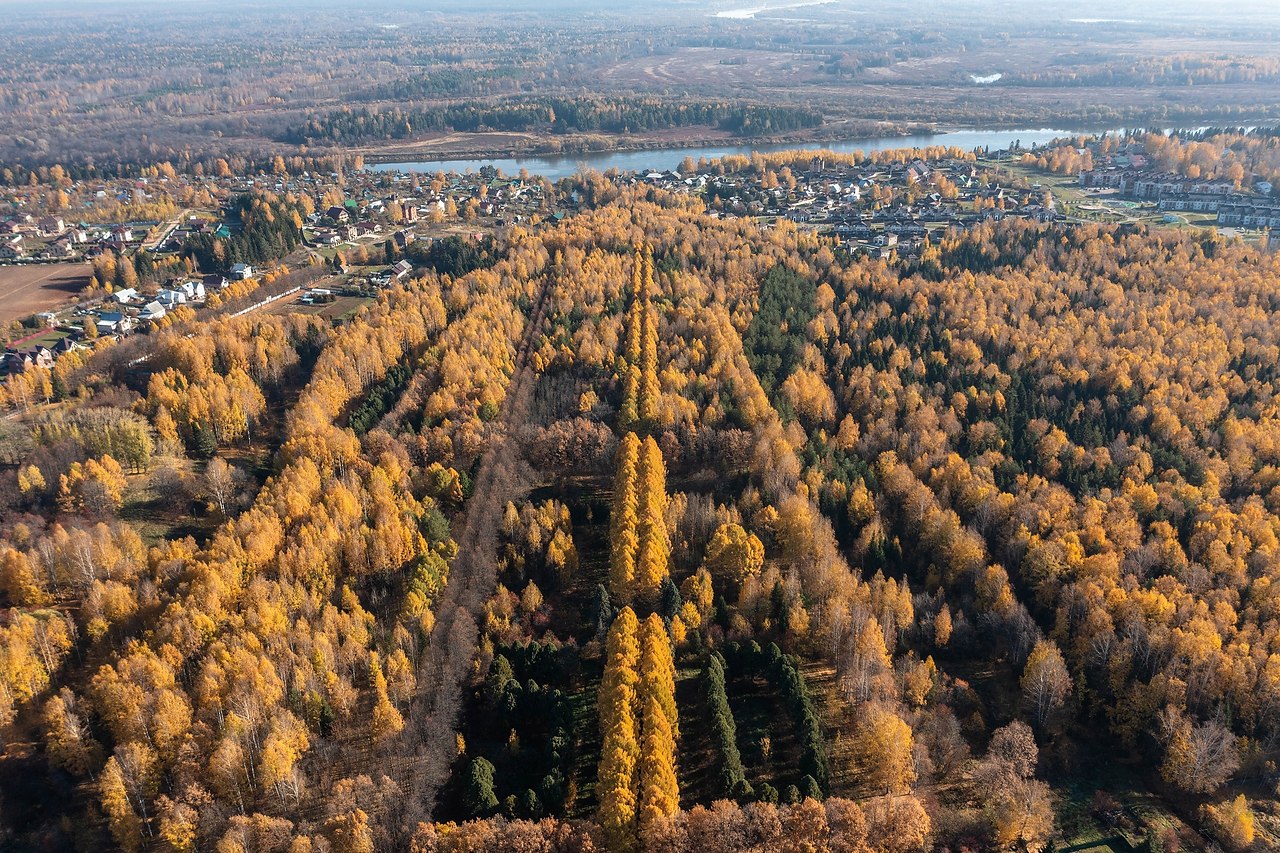 Дендропарк киров фото