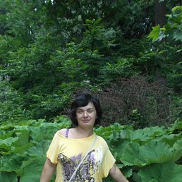 Лиза, 53, Кировоград