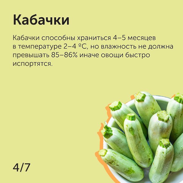 Сколько времени готовить кабачок. Сколько хранятся кабачки. Саошкьо храниться кабалчек. Сколько может храниться кабачок. Сколько может храниться кабачок при комнатной температуре.