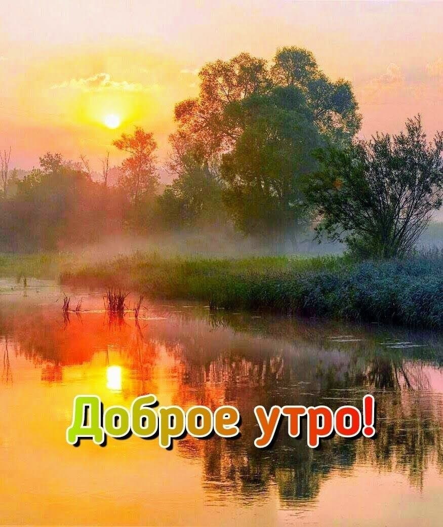 Хорошего доброго дня природа. Поздравление с добрым утром. Доброе августовское утро с природой. Красивые поздравления с добрым утром природа. Доброе раннее утро.