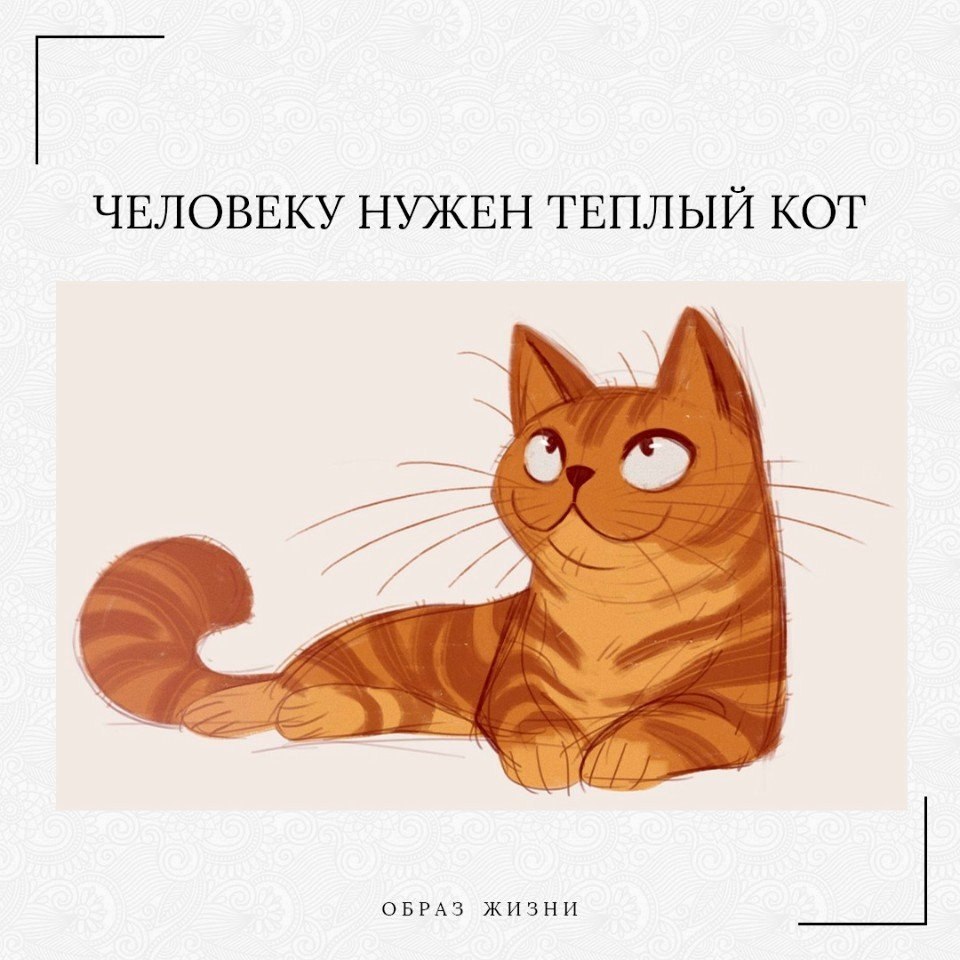 Нужно теплого. Нарисовать кота. Человеку нужен теплый кот. Человеку нужен теплый кот чтоб мурлыкал. Человеку нужен теплый кот чтоб мурлыкал громко он на ручках.