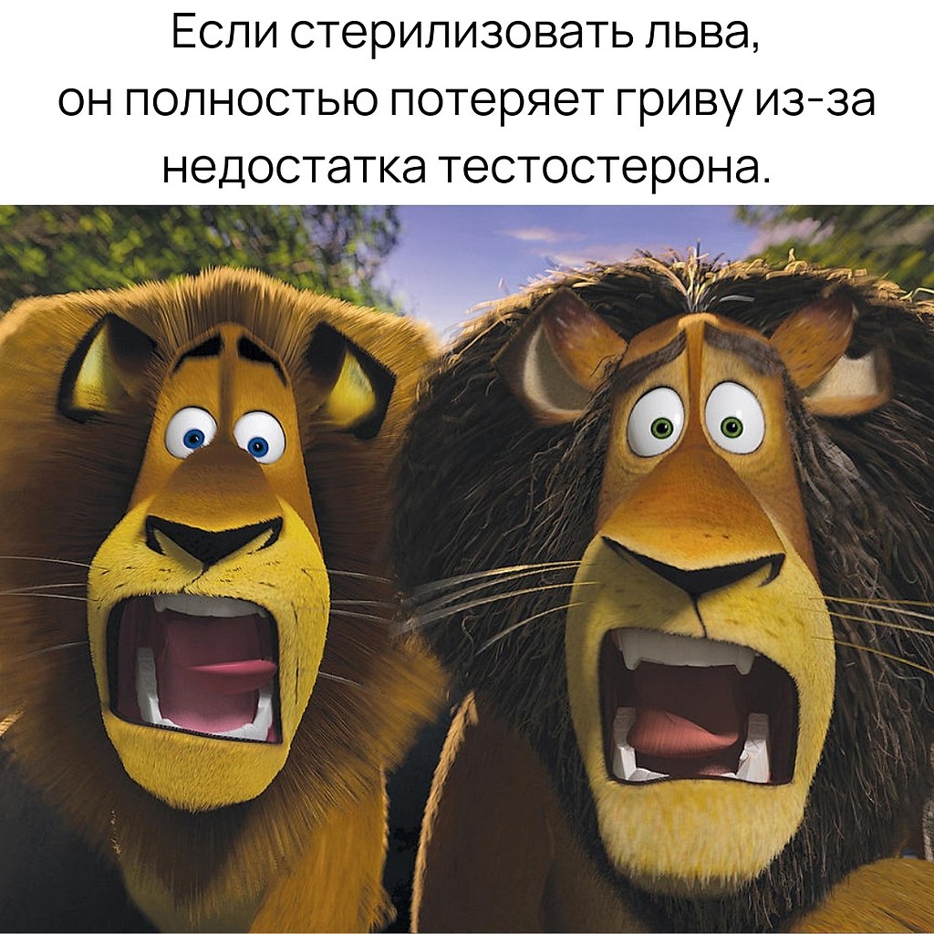 карьера. развитие. 