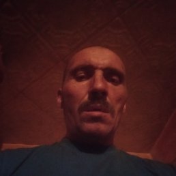 Владимир, 42 года, Брянск