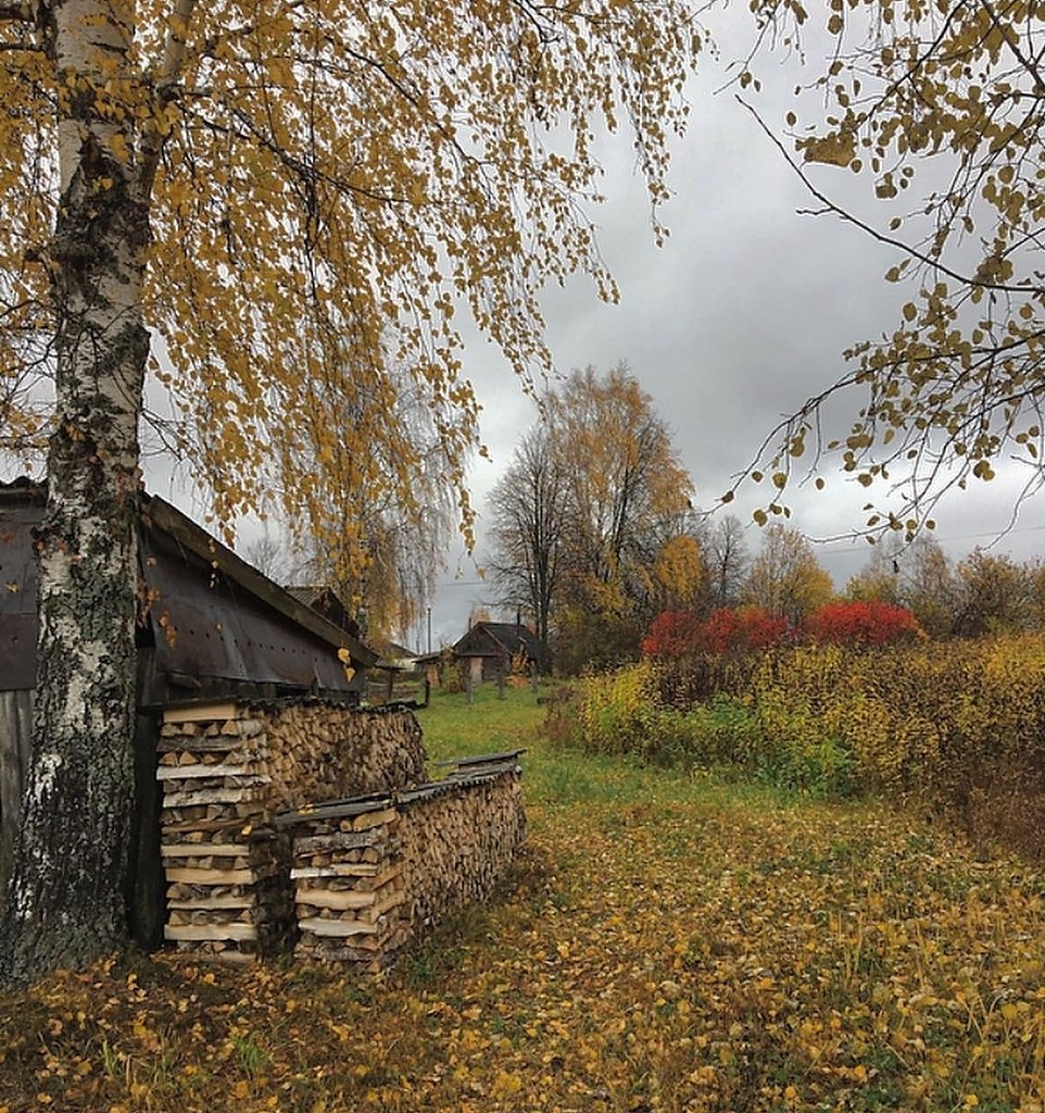 Осень в деревне картинки