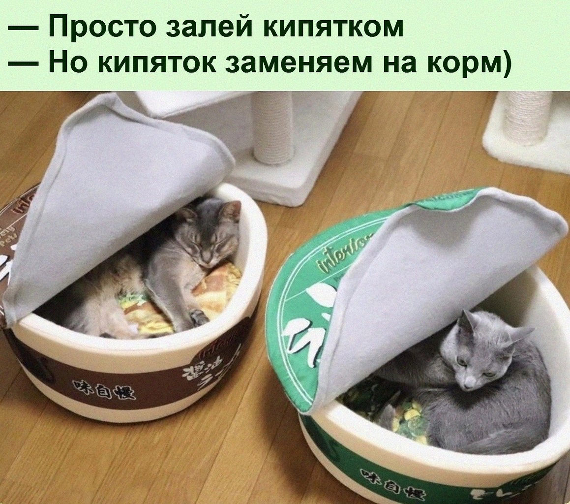 Лежак доширак для кошек