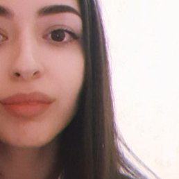 , 26, 