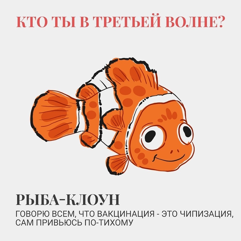 Стих про золотую рыбку для детей. Золотыми рыбками быть не просто. Рыбка не простая песня. Загадка про золотую рыбку. С днём рождения золотая рыбка.