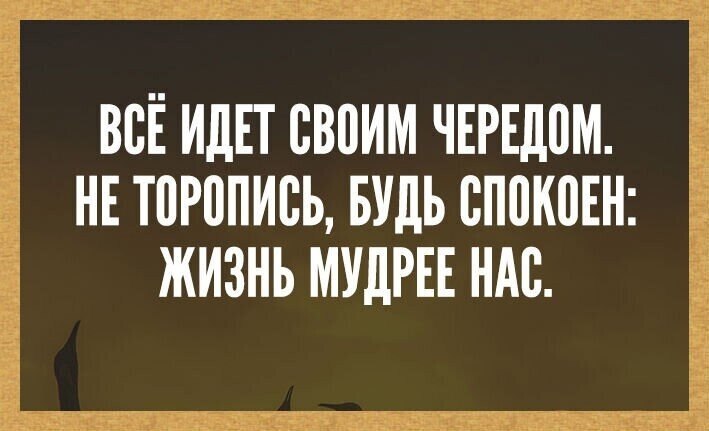 Пусть все идет своим чередом картинки