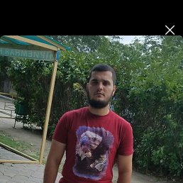 , 29, 