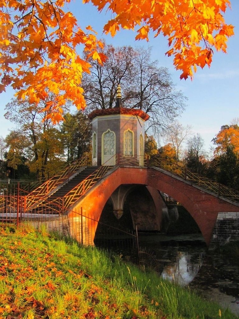 Золотая осень в парке