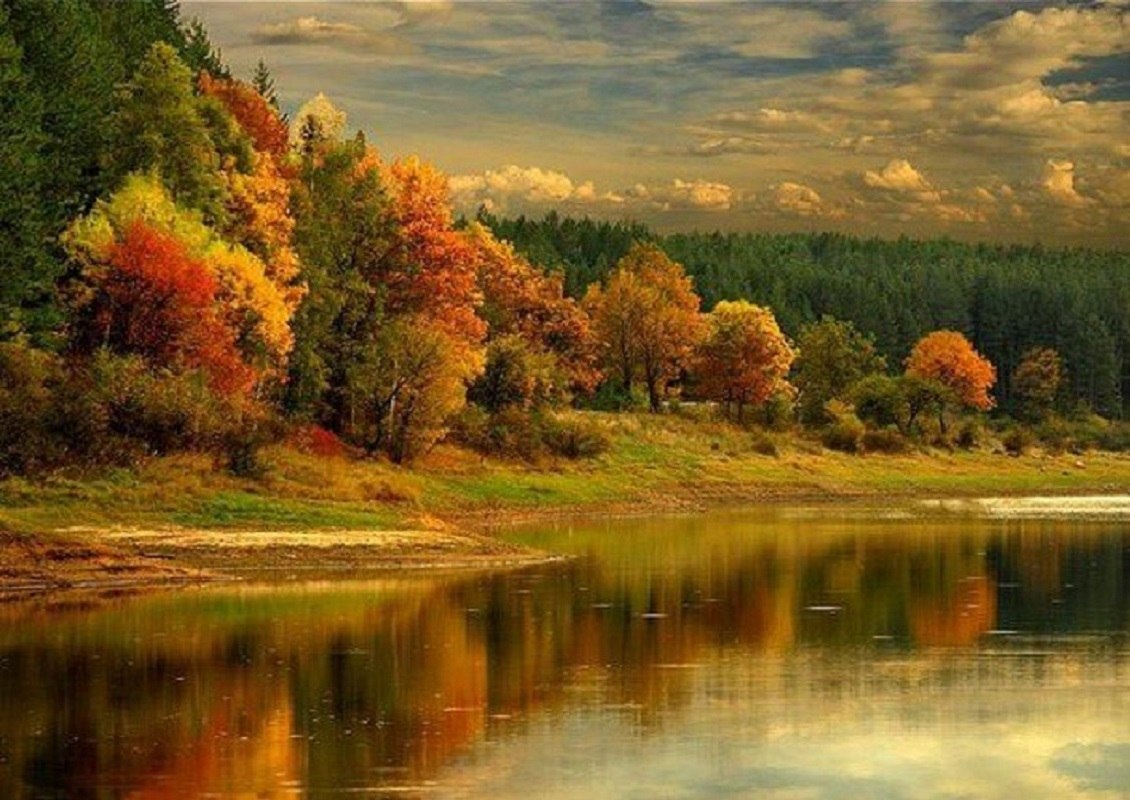 Осенние пейзажи осени