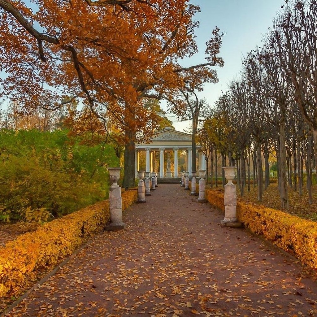 Павловский парк Санкт-Петербург осень
