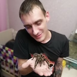 Алексей, 31 год, Павлово